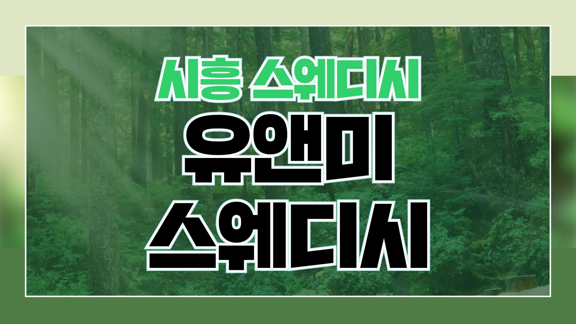 시흥 유앤미스웨디시